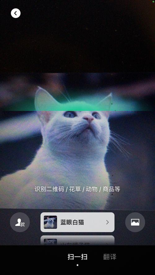 妖怪视频号直播爆料 第2张 妖怪视频号直播爆料 第2张